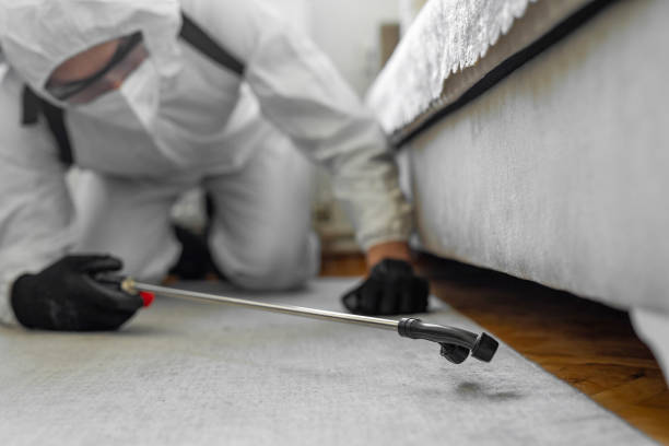 Professional Bed Bug Control technician working in La Cygne, KS