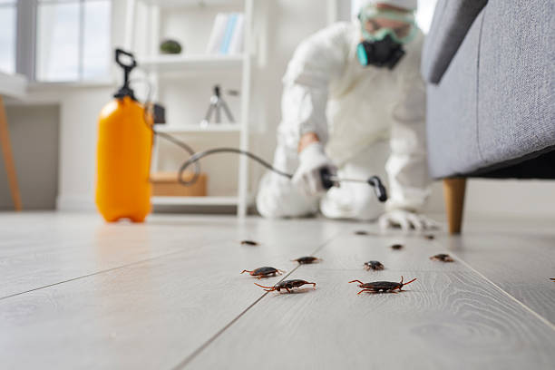Trusted Termite Control service in La Cygne, KS - Nex Pest Control